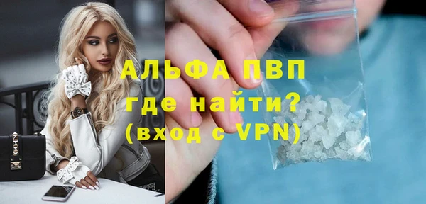 стафф Вязьма
