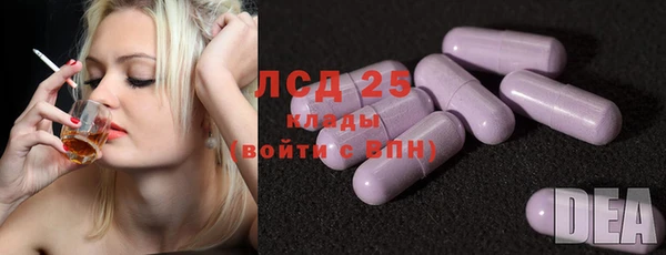 стафф Вязьма