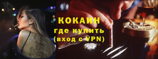 стафф Вязьма