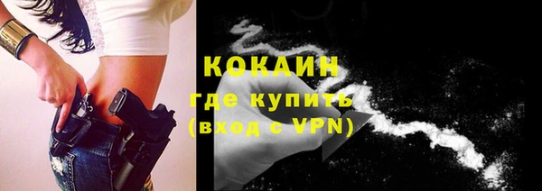 mdpv Вяземский