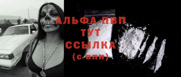 mdpv Вяземский