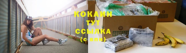 стафф Вязьма