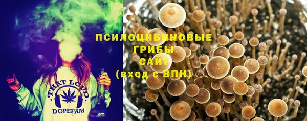 mdpv Вяземский
