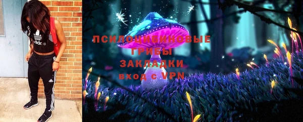 стафф Вязьма