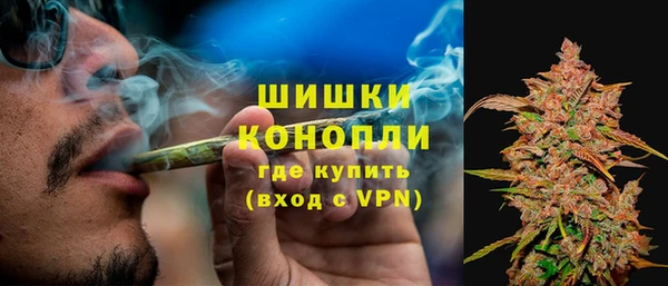 стафф Вязьма
