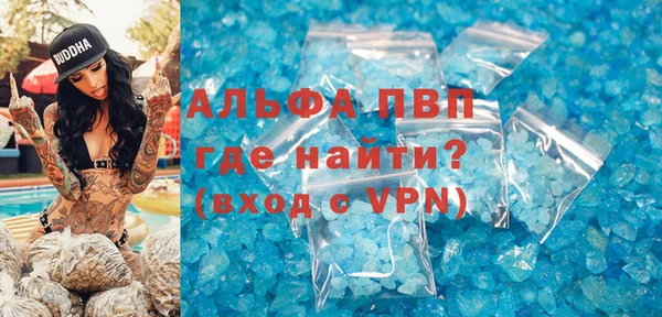 стафф Вязьма